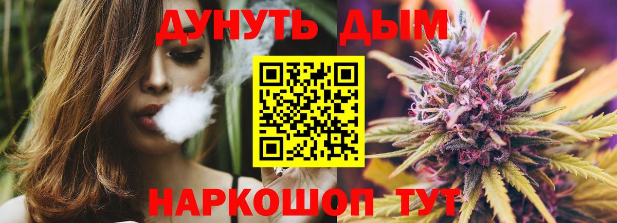 Бошки марихуана OG Kush  Вход с VPN  МАРИХУАНА план  Канабис Ganja  Сальск 